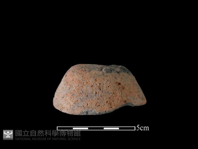 陶紡輪藏品圖，第3張