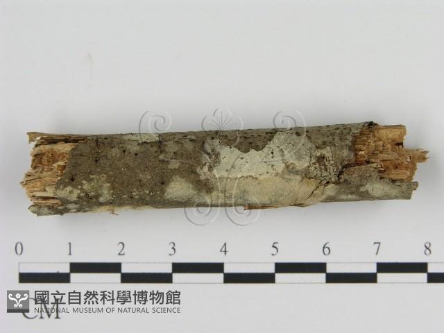 Accession Number:F0010089 Collection Image, Figure 3, Total 3 Figures