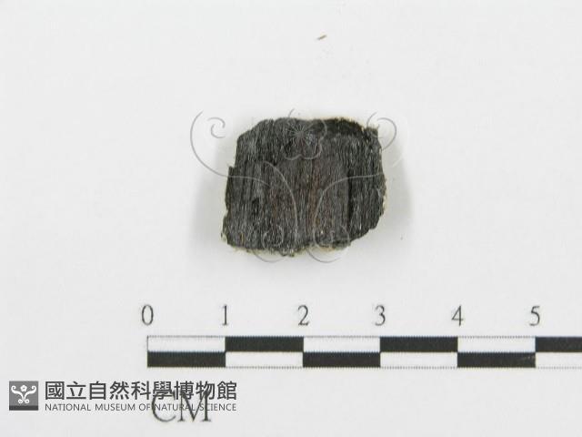 登錄號:F0006089藏品圖，第3張