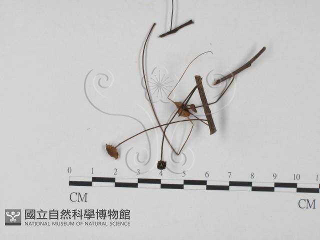 登錄號:F0024089藏品圖，第3張