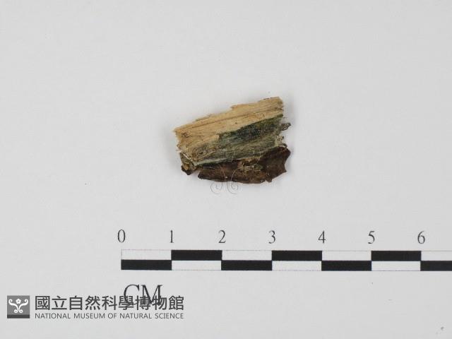 登錄號:F0017089藏品圖，第3張