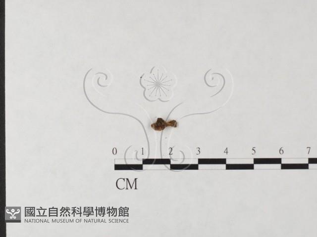 登錄號:F0025089藏品圖，第3張