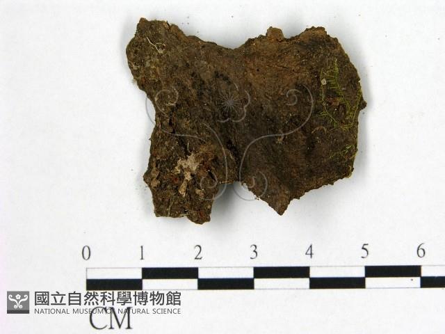 登錄號:F0003089藏品圖，第3張