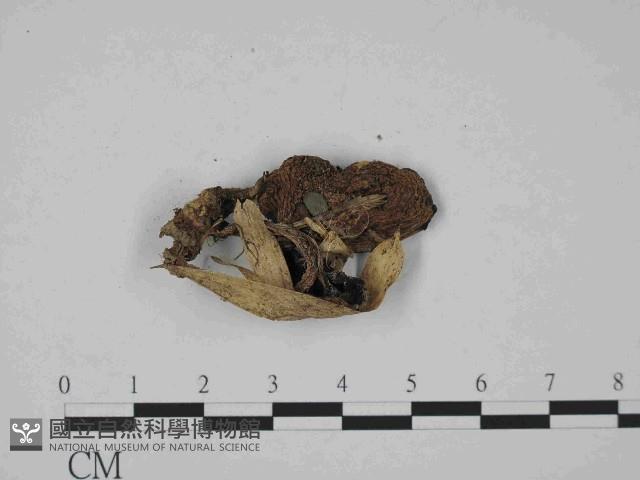 登錄號:F0014389藏品圖，第3張