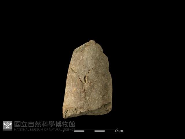 石材藏品圖，第3張