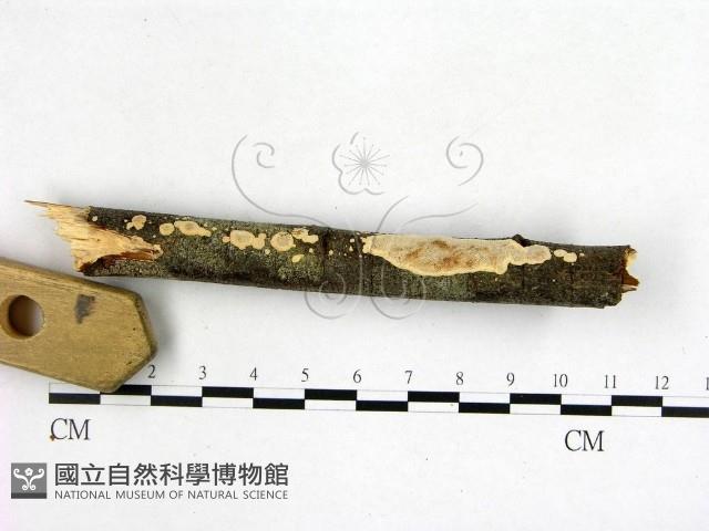 登錄號:F0005103藏品圖，第3張