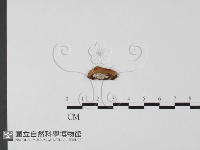 登錄號:F0009003藏品圖，第3張