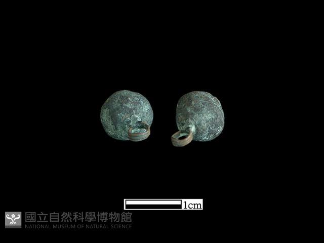 Accession Number:BK-CU013 Collection Image, Figure 3, Total 3 Figures