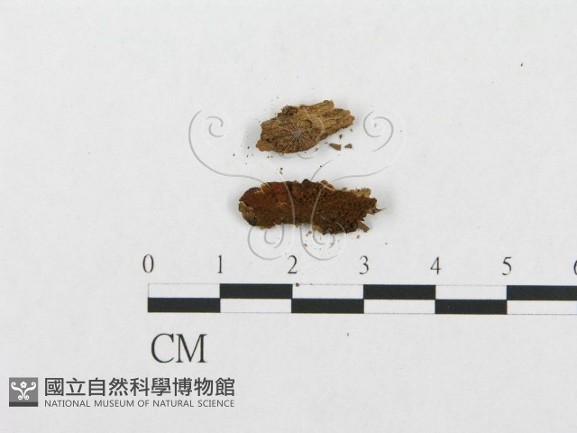 登錄號:F0007293藏品圖，第3張