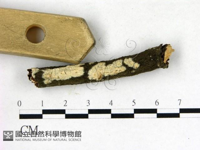 登錄號:F0009293藏品圖，第3張