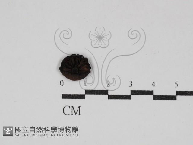 登錄號:F0030893藏品圖，第3張