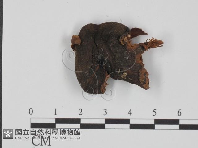 登錄號:F0021893藏品圖，第3張