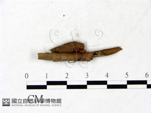 登錄號:F0022893藏品圖，第3張