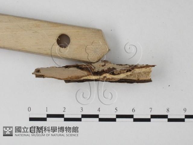 登錄號:F0011993藏品圖，第3張