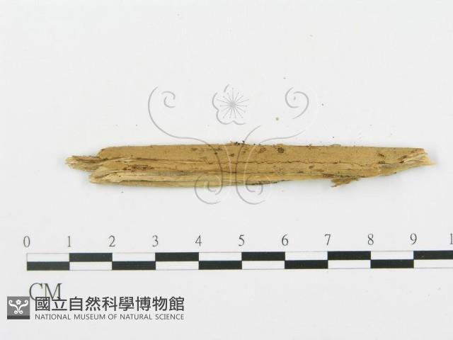 登錄號:F0004993藏品圖，第3張