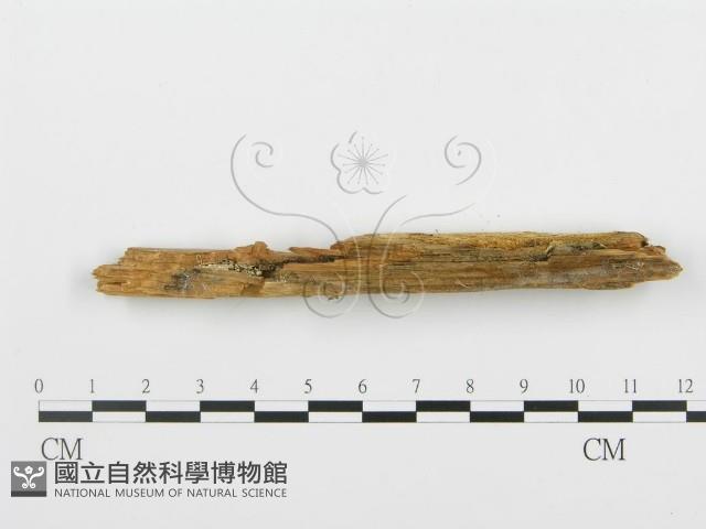 登錄號:F0005993藏品圖，第3張