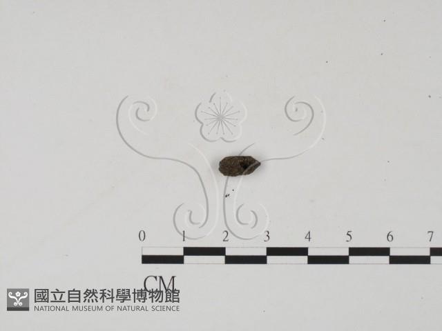 登錄號:F0000693藏品圖，第3張