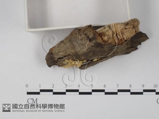 登錄號:F0002493藏品圖，第3張