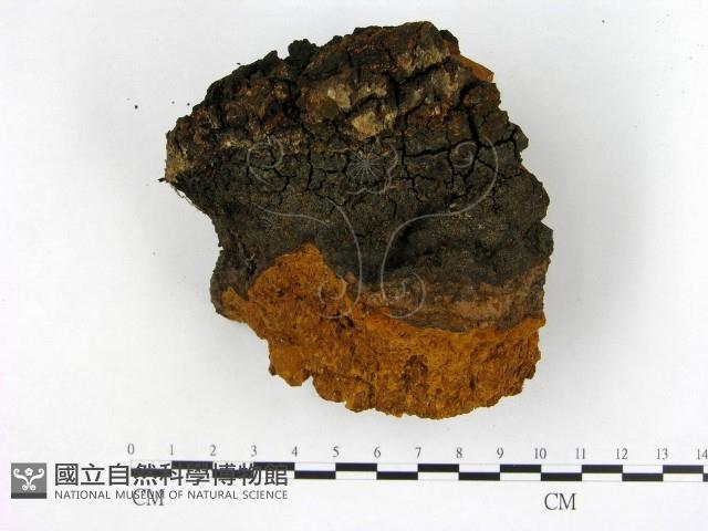 登錄號:F0018793藏品圖，第3張