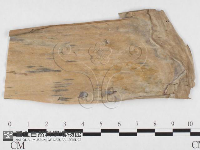 登錄號:F0026793藏品圖，第1張