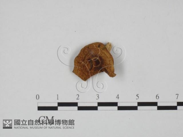 登錄號:F0024593藏品圖，第3張