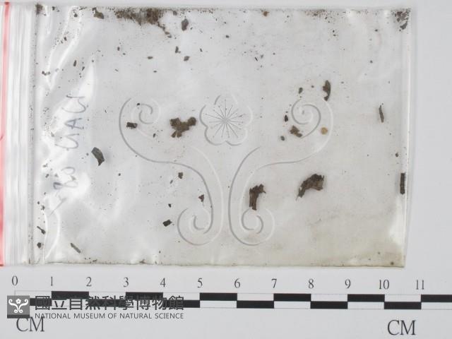 登錄號:F0002593藏品圖，第3張