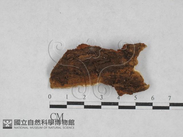 登錄號:F0028193藏品圖，第3張