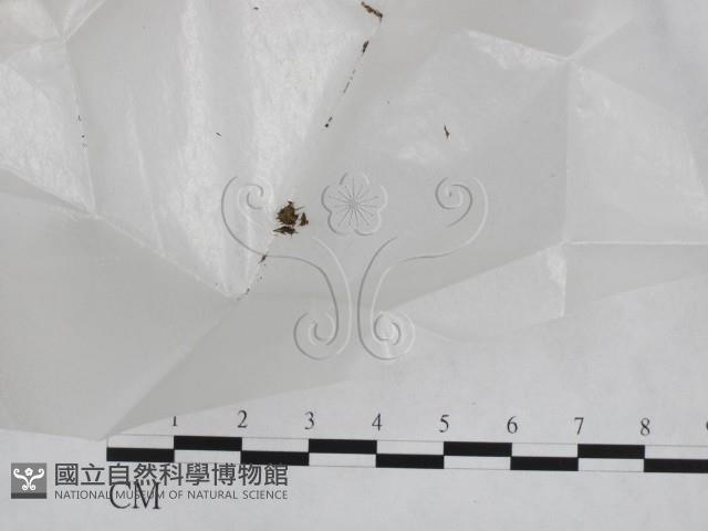 登錄號:F0020193藏品圖，第3張