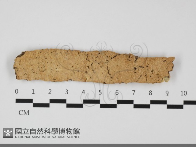 登錄號:F0032193藏品圖，第1張