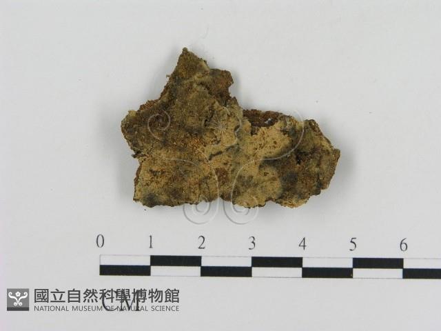 登錄號:F0003193藏品圖，第1張