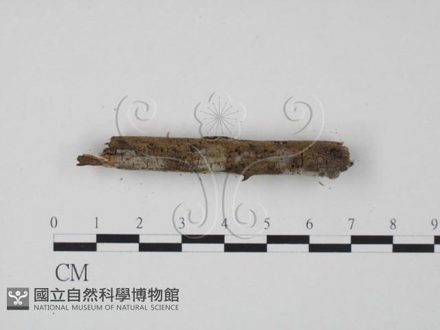 登錄號:F0004093藏品圖，第3張