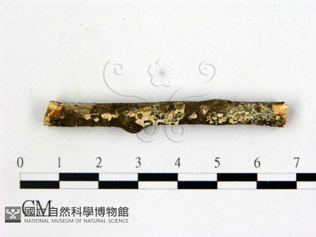 登錄號:F0005093藏品圖，第3張