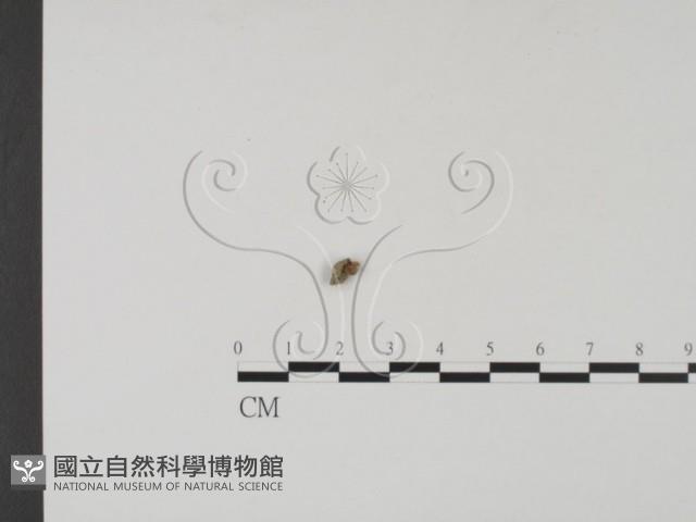 登錄號:F0003093藏品圖，第3張