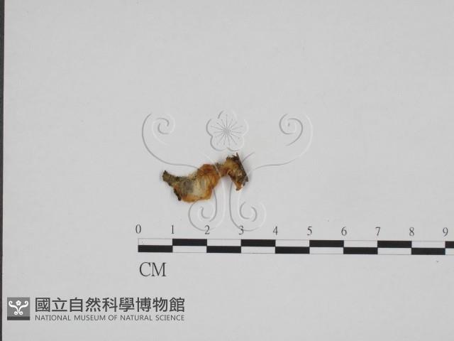 登錄號:F0024283藏品圖，第3張
