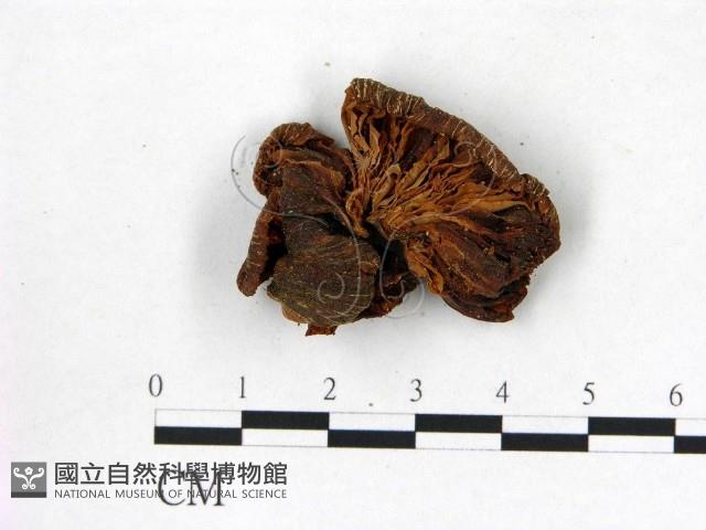 登錄號:F0002283藏品圖，第3張