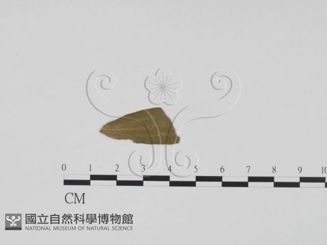 登錄號:F0011883藏品圖，第3張
