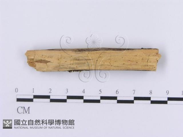 登錄號:F0002983藏品圖，第3張