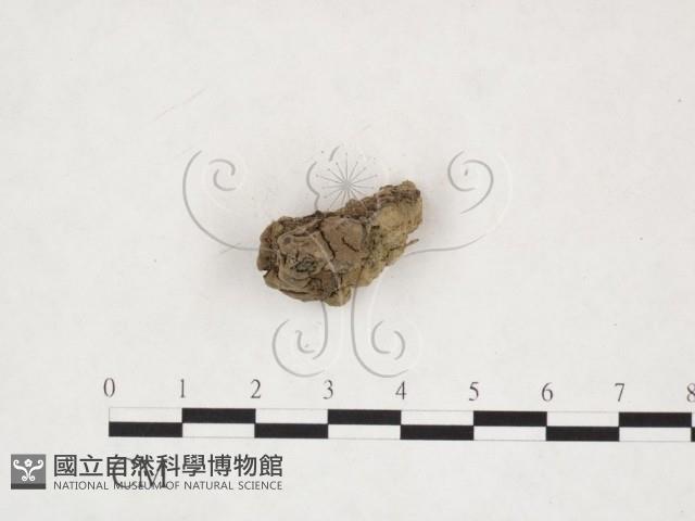 登錄號:F0025983藏品圖，第3張