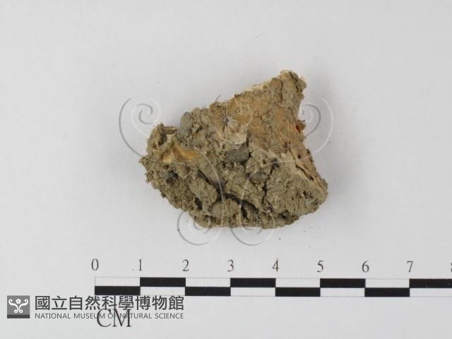 登錄號:F0023983藏品圖，第3張