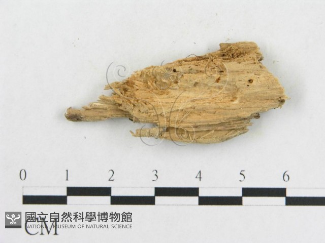 登錄號:F0003983藏品圖，第3張