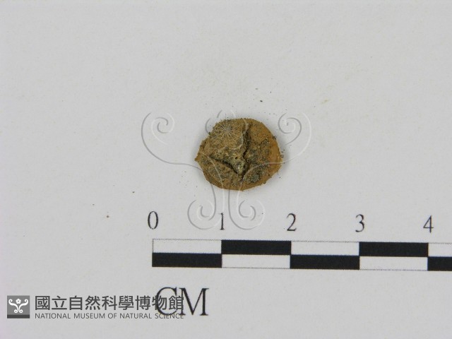 登錄號:F0002683藏品圖，第3張