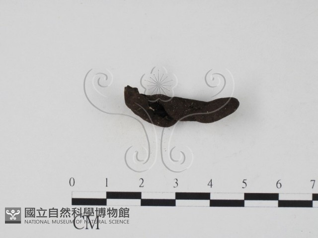 登錄號:F0007683藏品圖，第3張