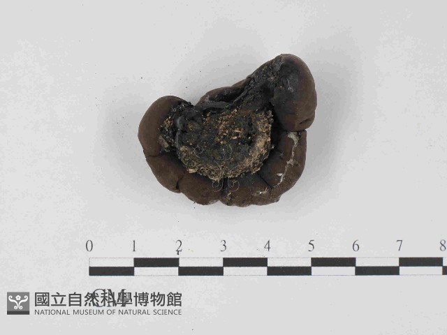 登錄號:F0023683藏品圖，第3張