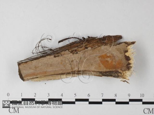 登錄號:F0025483藏品圖，第3張