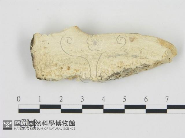 登錄號:F0006783藏品圖，第3張