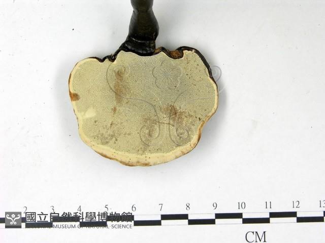 登錄號:F0022783藏品圖，第3張