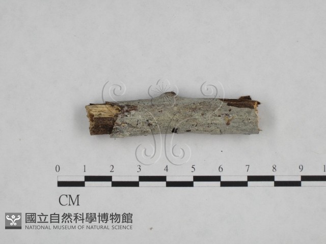 登錄號:F0012783藏品圖，第3張