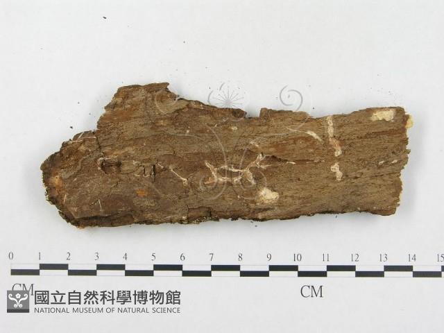 登錄號:F0006583藏品圖，第3張
