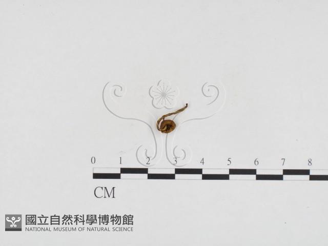 登錄號:F0024183藏品圖，第3張