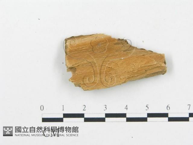 登錄號:F0006083藏品圖，第3張